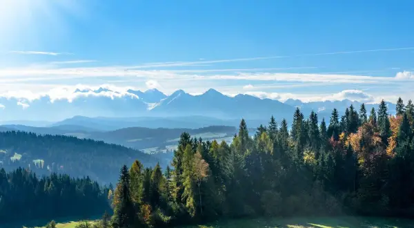 Atrakcje w Zakopanem: Jak zaplanować idealny wyjazd pod Tatry?
