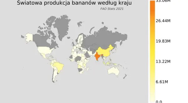 W jakim kraju rosną banany? Twoja podróżnicza mapa