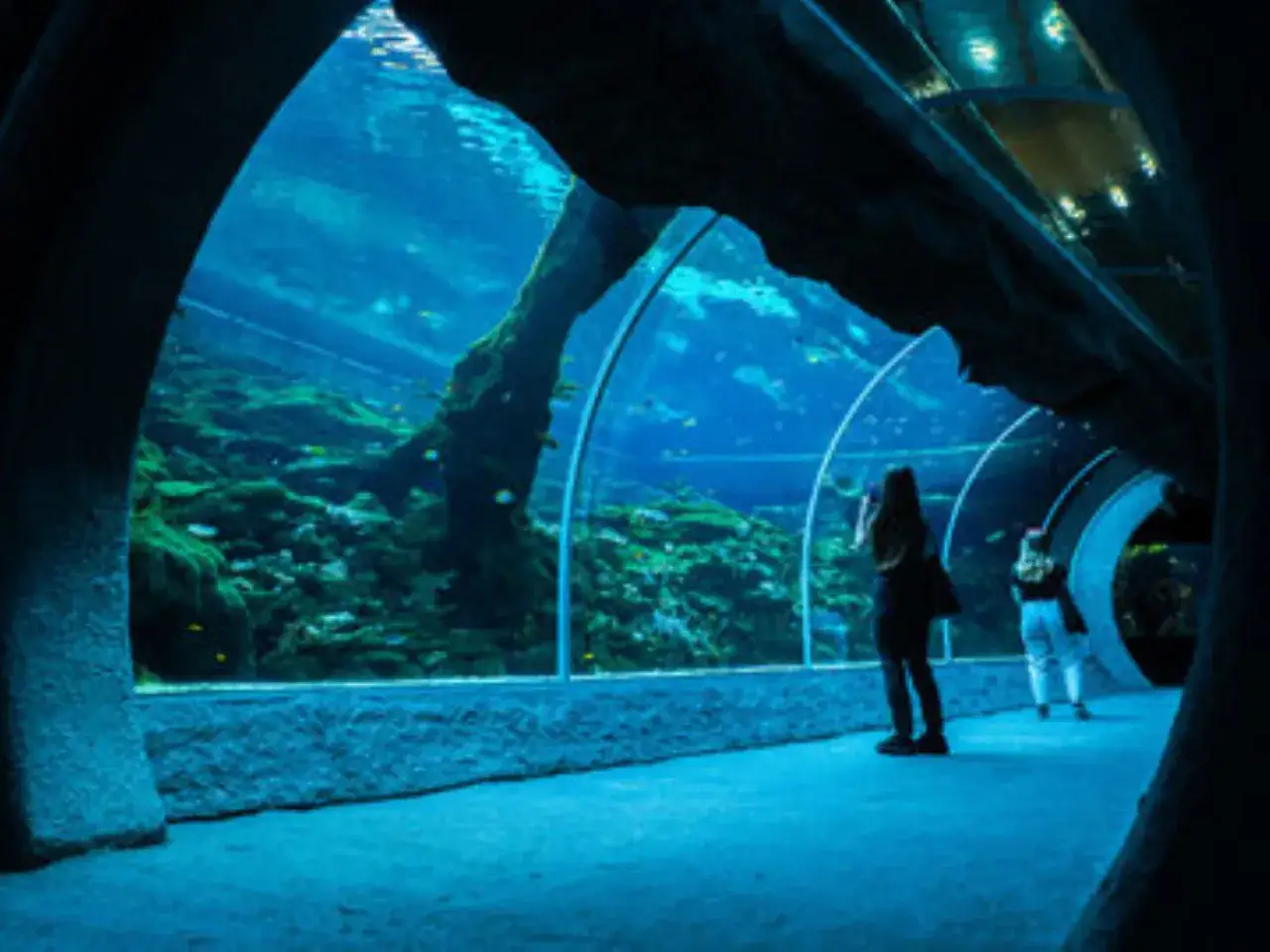 Orientarium ZOO Łódź wnętrze