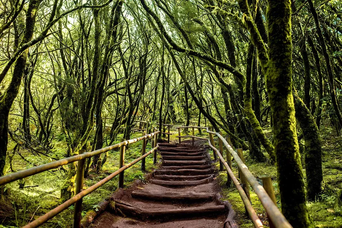 Los Órganos La Gomera rejs statkiem