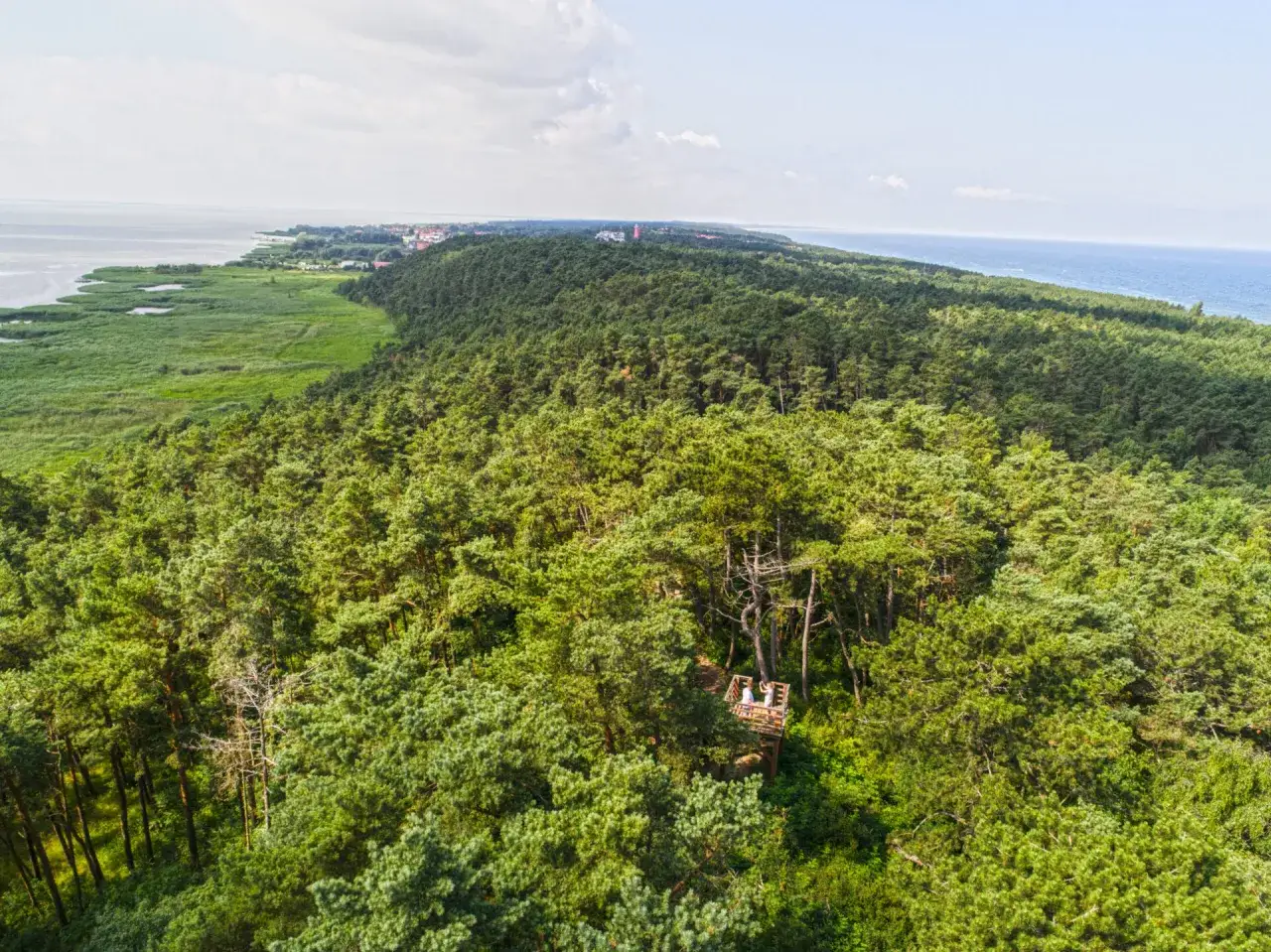 Wielbłądzi Grzbiet Krynica Morska widok